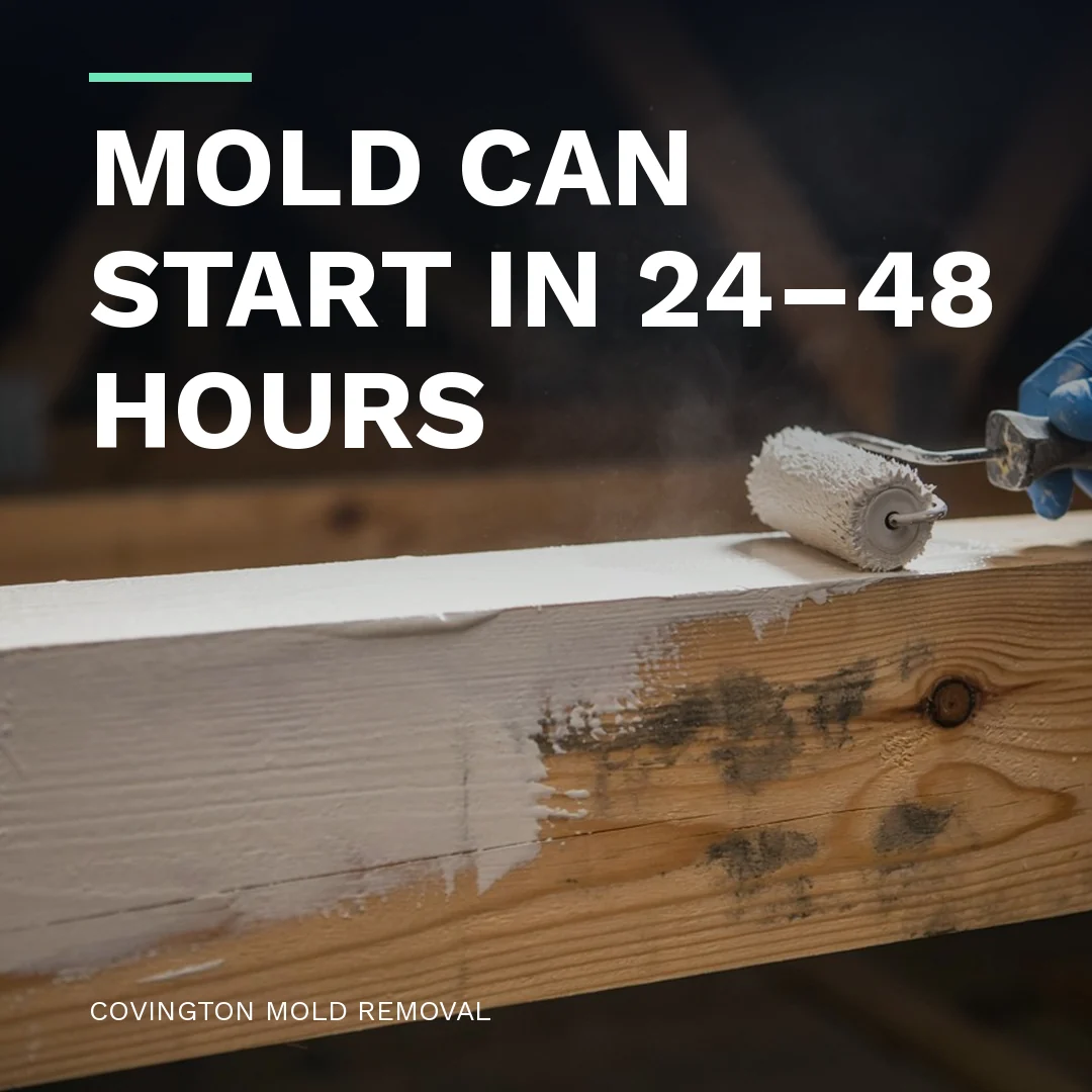 Mold can start in 24–48 hours