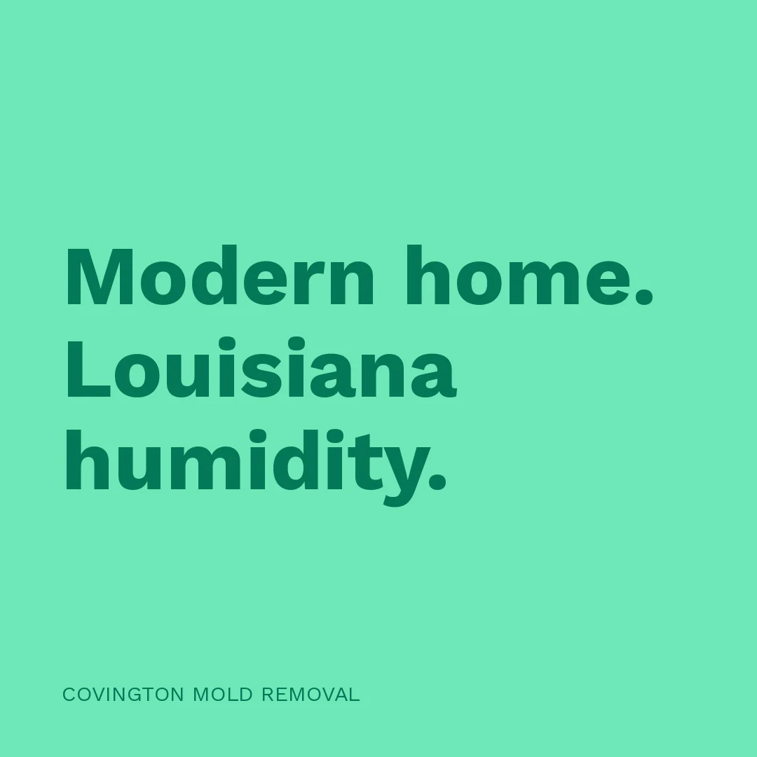 Modern home. Louisiana humidity.